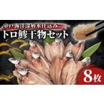 ふるさと納税 干物 アジ 高知県 室戸市 トロ鯵 干物セット 8枚 海洋深層水仕込み 詰め合わせ アジ 魚 10000円 1万円 海鮮 魚介類 惣菜 冷凍 送料無料 iz021