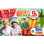 野菜定期便 諫早産野菜の詰め合わせ 8~9品目程度