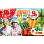 セット 詰合せ 野菜定期便 3回定期便 諫早産野菜の詰め合わ…