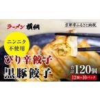 ふるさと納税 餃子 京都府 京都市 ラーメン横綱 横綱の餃子はニンニク不使用 ぴり辛餃子&黒豚餃子10パックセット(各5パック)[ 京都 ラーメン 有名店 餃子12…