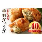 ふるさと納税 惣菜・レトルト 冷凍 宮崎県 宮崎市 ひとくち 手羽 ぎょうざ 計40個 20個入×2パック | 餃子 手羽 てば 肉 お肉 手羽先 手羽先餃子 宮崎餃子 ご…