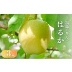 ふるさと納税 りんご 福島県 福島市 No.1474 りんご「はるか」約3kg 2025年度発送