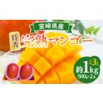 ショッピングふるさと納税 マンゴー ふるさと納税 マンゴー 宮崎県 宮崎市  2026年発送先行予約 《数量・期間限定》完熟 宮崎マンゴー 特秀 大玉3Lサイズ 2玉化粧箱入り | マンゴー 宮崎マンゴー …