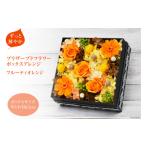 花 苗木 ずっと鮮やか プリザーブドフラワー