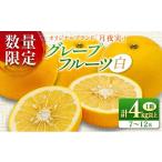 ふるさと納税 みかん・柑橘類 宮崎県 日南市  テレビで紹介された 数量限定 グレープフルーツ 月夜実 白 つくよみ 計4kg以上 期間限定 希少 完熟 果物 くだも…