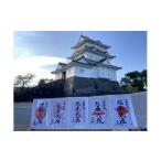 イベントやチケット等 小田原城御城印 御城印帳