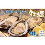 ふるさと納税 牡蠣 生牡蠣 千葉県 富津市 殻付生牡蠣「江戸前オイスター」（２年牡蠣） １０個　牡蠣ナイフ・軍手付　牡蠣 かき 10個 1kg前後 江戸前オイスタ…