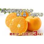 果物の詰合せ せとか 温室せとか 高級柑橘