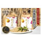 ふるさと納税 玄米 山梨県 北杜市  令和7年度米 玄米農林48号 5kg×1袋 米 令和7年度米 農林48号 玄米 5kg 自慢のお米 八ヶ岳 山梨県 北杜市