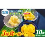 ふるさと納税 果物類 