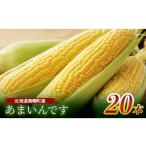 fu.... налог кукуруза Hokkaido юг тент блок . мир 8 год отправка Hokkaido производство кукуруза ..... 20шт.@ утро .. самый . прямая поставка от производителя ограниченное количество время ограничено NP1-173