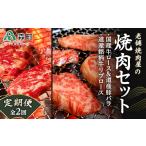 豚肉 定期便 老舗焼肉店の焼肉セット 牛ロース道産豚バラ道…
