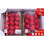 ふるさと納税 いちご 埼玉県 加須市 埼玉生まれの希少いちご『あまりん2パック入り』（1パック6〜15粒、2パックの合計500ｇ以上） 潰れが気にならない方限定