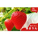 ふるさと納税 いちご 埼玉県 加須市 埼玉生まれの希少いちご『あまりん　大粒』（450ｇ以上） 潰れが気にならない方限定