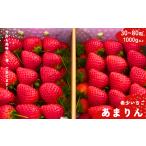 ふるさと納税 いちご 埼玉県 加須市 埼玉生まれの希少いちご『あまりん』80〜30粒入り（1000g以上） 潰れが気にならない方限定