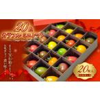 トマト ミニトマト 20色 カラフル 20粒