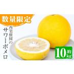 ふるさと納税 みかん・柑橘類 鹿児島県 いちき串木野市 西果樹園のサワーポメロ（秀品） 10kg サイズ：L〜3L 数量限定 期間限定 の 特産品 幸せの黄色い果実 …