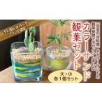 花 苗木 下仁田ジオパークブランド 認定 カラーサンド観葉…