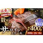 牛肉 サーロイン サーロインステーキ 全6回定期便