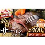 牛肉 サーロイン サーロインステーキ 全12回定期便