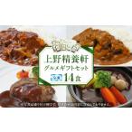 惣菜 レトルト 冷凍 上野精養軒 セット冷凍14食