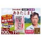 ふるさと納税 秋田県 北秋田市 ※令和6年産 新米予約※《定期便11ヶ月》秋田県産 あきたこまち 100kg【白米】(10kg袋) 2024年産 お届け周期調整可能 隔月に調…