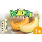 ふるさと納税 メロン メロン青肉 新潟県 新潟市 太田農園メロン“GIFT”赤肉メロン&青肉メロンセット(合計3玉) 2025年 先行予約 メロン セット 糖度 赤肉 …