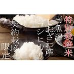 米 コシヒカリ 南 令和8年産 新米予約 定期配送2Kg×12ヶ月