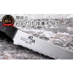 ふるさと納税 包丁 岐阜県 関市 冷凍品を簡単カット・食洗器対応 関孫六 わかたけ 冷凍ナイフ(包丁) 210mm 貝印H10-163