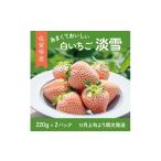 いちご 先行受付開始 希少価値 淡雪 220g×2パック