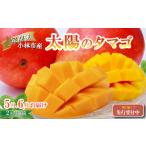 ショッピングふるさと納税 定期便 ふるさと納税 マンゴー 宮崎県 小林市  先行予約 マンゴー定期便・全2回 小林市産 完熟マンゴー 「太陽のタマゴ」コース（定期便 フルーツ フルーツ定期便 202…