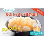加工品等 漬物 橋本さんちの砂丘らっきょう甘酢漬け 500g