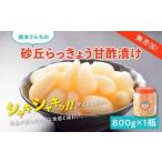 加工品等 漬物 橋本さんちの砂丘らっきょう甘酢漬け 800g