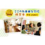 117-571 ここのね自由な学校 視察券