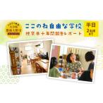 体験チケット 117-572 ここのね自由な学校