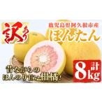 ふるさと納税 みかん・柑橘類 鹿児島県 阿久根市 訳あり 鹿児島県阿久根市産ボンタン(計8kg)国産 ぼんたん 文旦 柑橘 果物 フルーツ 松永青果 akn053-02