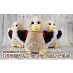 ӂ邳Ɣ[ nLN^[ {錧 s (01426)sLN^[up^肳vttʂ