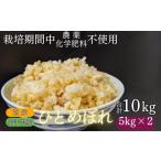 ふるさと納税 玄米 岩