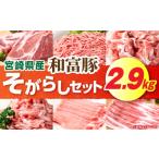 和富豚 そがらしセット 2.9kg