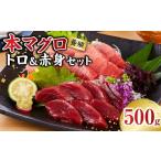 マグロ 本マグロ 養殖 トロ&赤身セット 500g