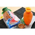 魚貝類 徳利いか 加工食品 日本酒 徳利 するめいか