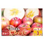 ふるさと納税 りんご 青森県 弘前市  26年3月発送 りんご 平均糖度13度以上 サンふじ 約3kg 訳あり クール便 青森 果物 フルーツ 林檎 リンゴ くだもの 不揃い…