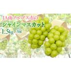 ふるさと納税 山梨県 南アルプス市 5-3 【令和6年9月上旬から10月中旬発送予定】絶品！南アルプス市産シャインマスカット1.5kg