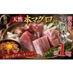 マグロ 訳あり 厳選天然本マグロ 約1kg