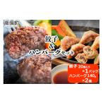 肉 ハンバーグ みやざきハーブ牛 餃子&ハンバーグセット
