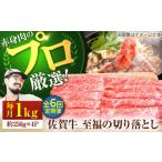 佐賀牛 至福の切り落とし 1kg