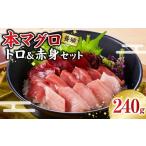 マグロ 本マグロ 養殖 トロ&赤身セット 240g