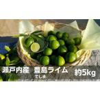 みかん 柑橘類 レモン ライム 豊島ライム 約5kg