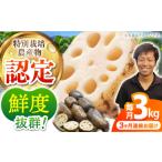人参 大根 他根菜 全3回定期便 地元 泥付き