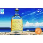 お酒 洋酒 キャンプGIN 200ml×2本セット